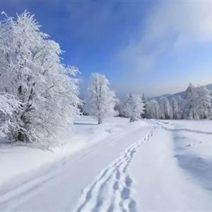 币市基础知识科普 ：压力线、支撑线