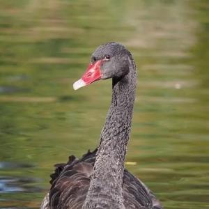 加密货币投资指南：区块链用语大全（01）