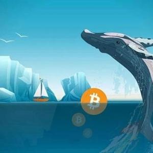 数字资产钱包有哪些种类?怎么选？