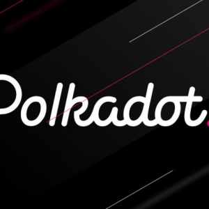 波卡常见术语解读 原来这些词是这个意思啊