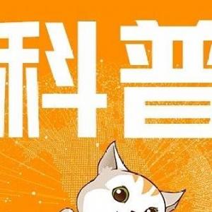 加密货币的市值怎么算？有什么参考价值？