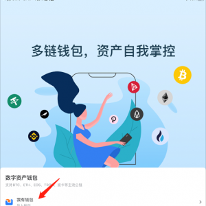 TP（TokenPocket）钱包兑换CTT操作指南