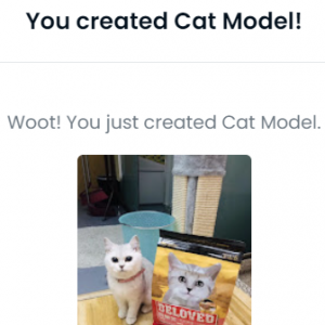 如何使用Coinhub在Opensea购买及创建NFT