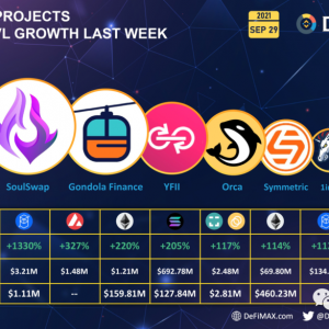 Shell Protocol撸空投攻略教程（详细图文教程）