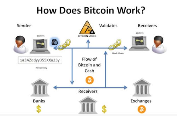 1638343931491882.png 165357xpw35fopj4bx430m.png